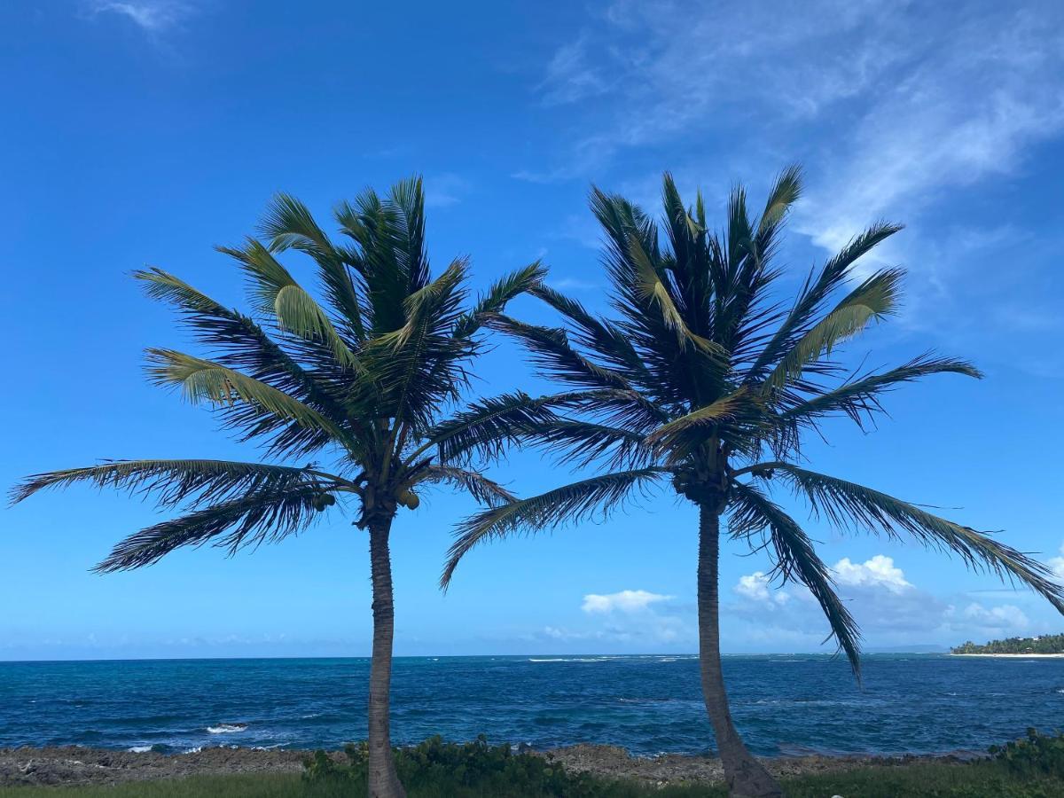 Villa PHARE CARAÏBES Le Moule Esterno foto